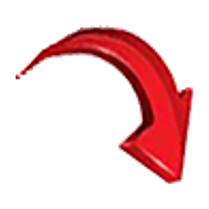 Expert Wasp Nest Removal Leeds - Professional Pest Control Reviews