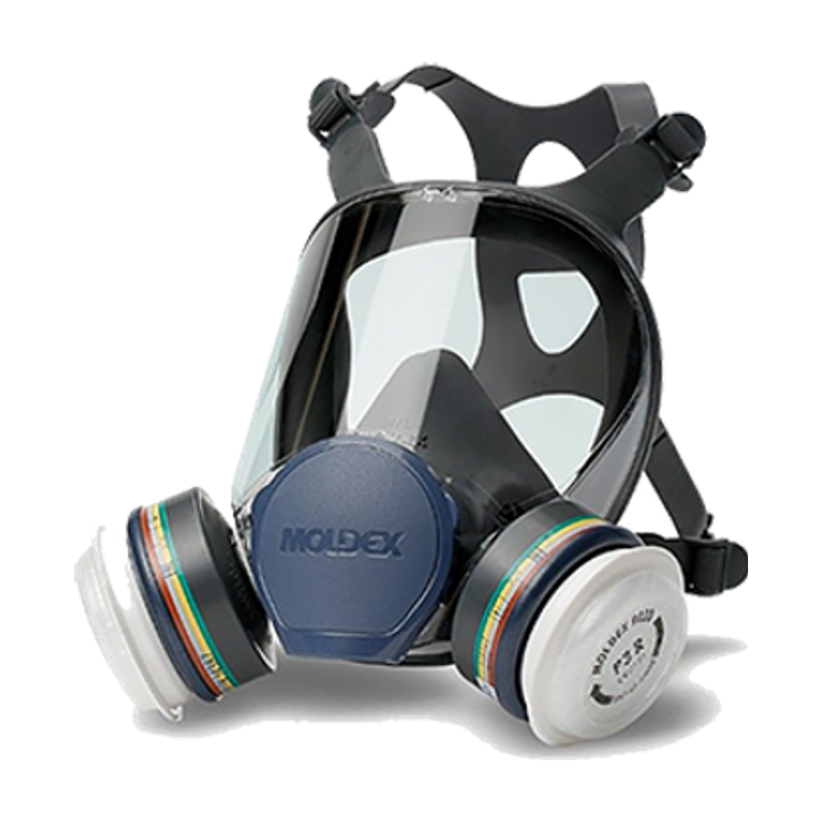 Wasptec Specialist Pest Control Mask